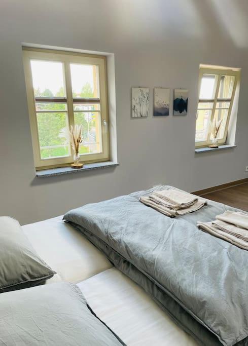 Traumvilla Im Herzen Hainichens Eksteriør billede