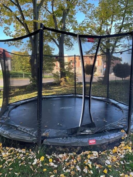 Traumvilla Im Herzen Hainichens Eksteriør billede